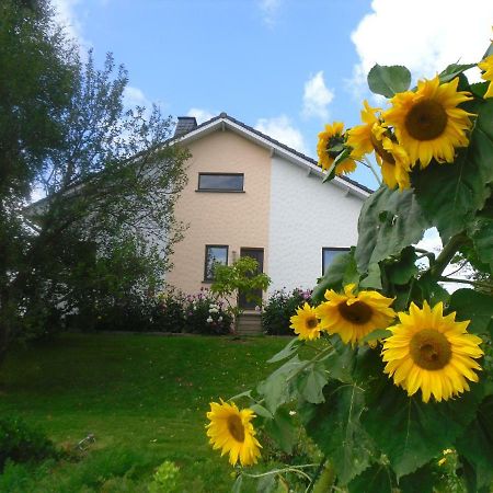 Ferienwohnung Fernblick Manderfeld Buitenkant foto