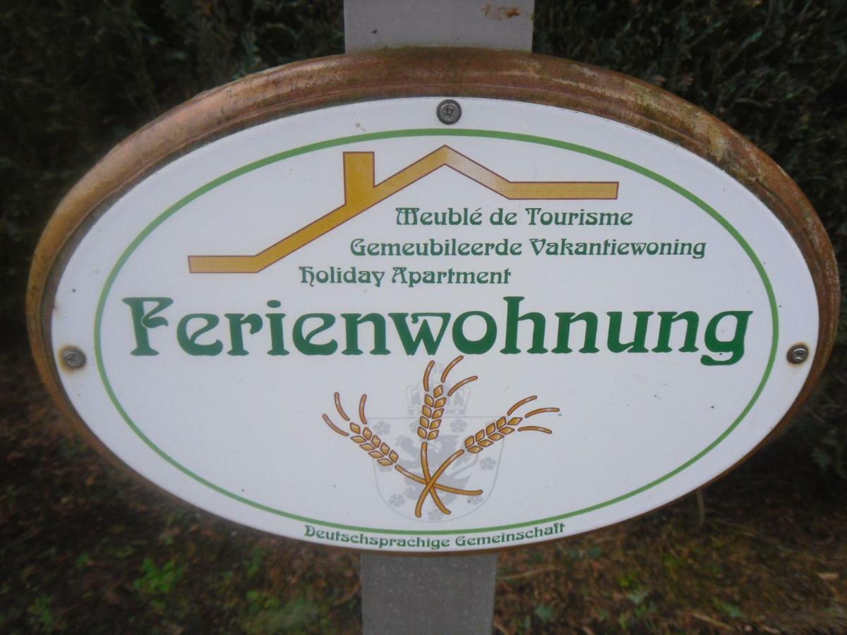 Ferienwohnung Fernblick Manderfeld Buitenkant foto