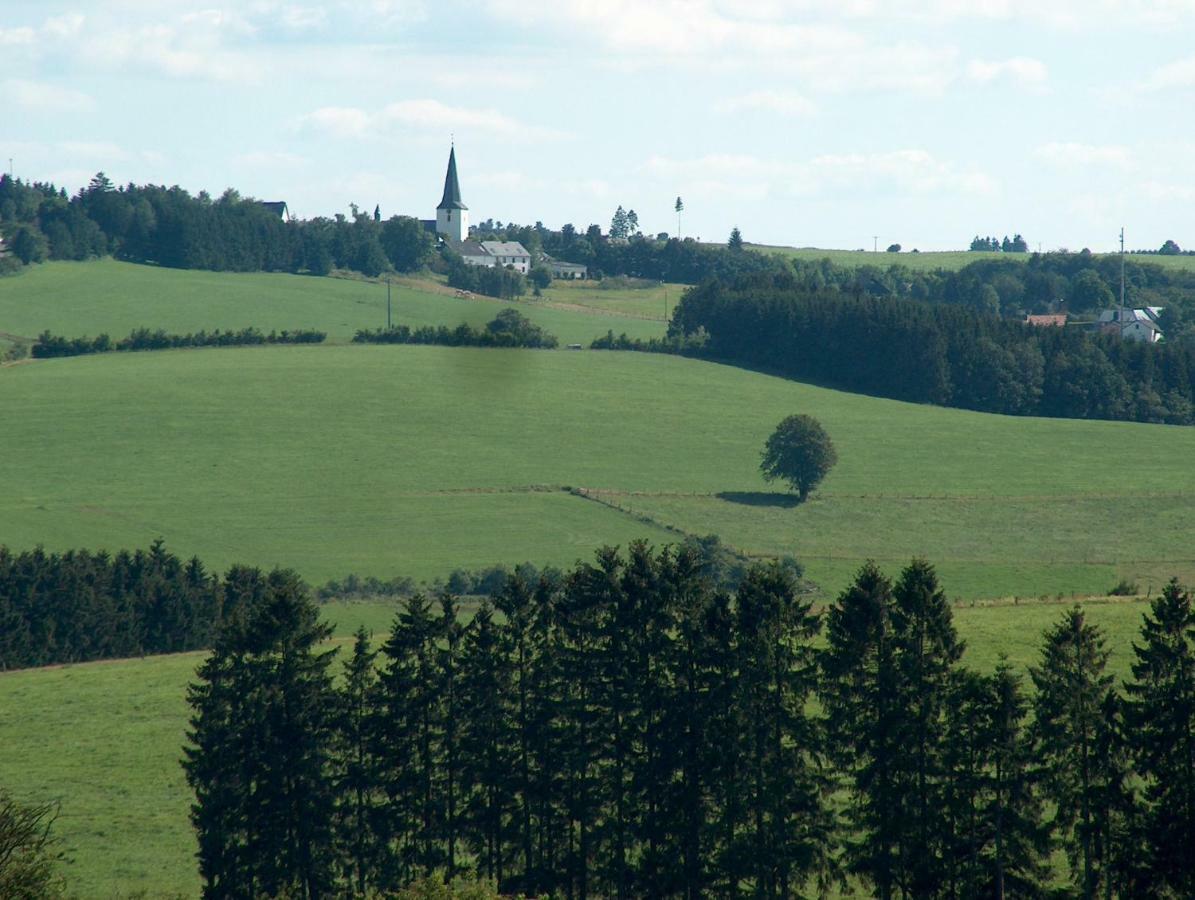 Ferienwohnung Fernblick Manderfeld Buitenkant foto