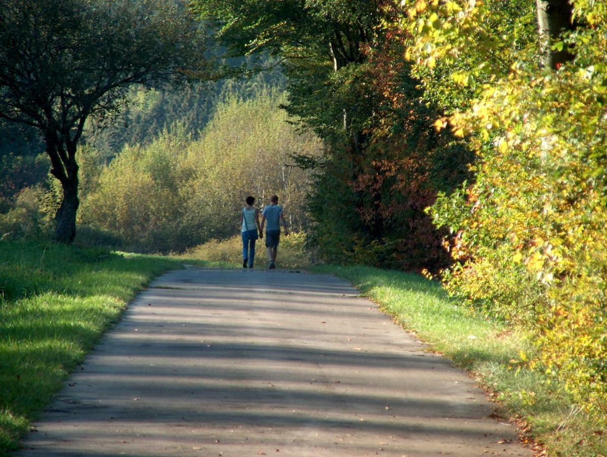 Ferienwohnung Fernblick Manderfeld Buitenkant foto