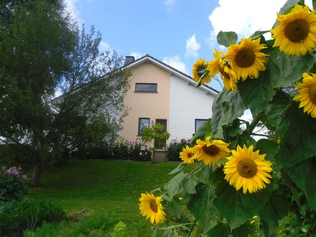 Ferienwohnung Fernblick Manderfeld Buitenkant foto